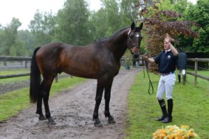 Andain du Thalie saillie étalon poulain élevage du Thalie 10